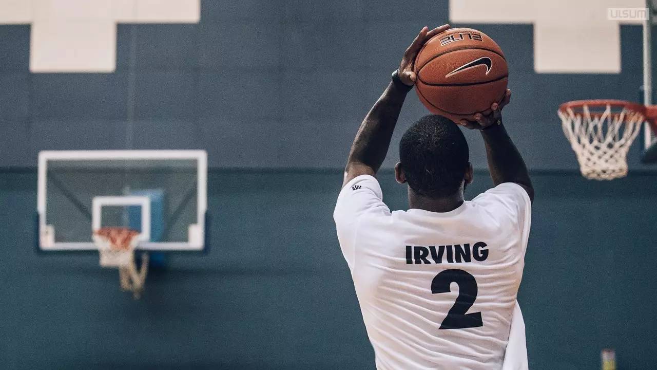 选择我们的五大优势